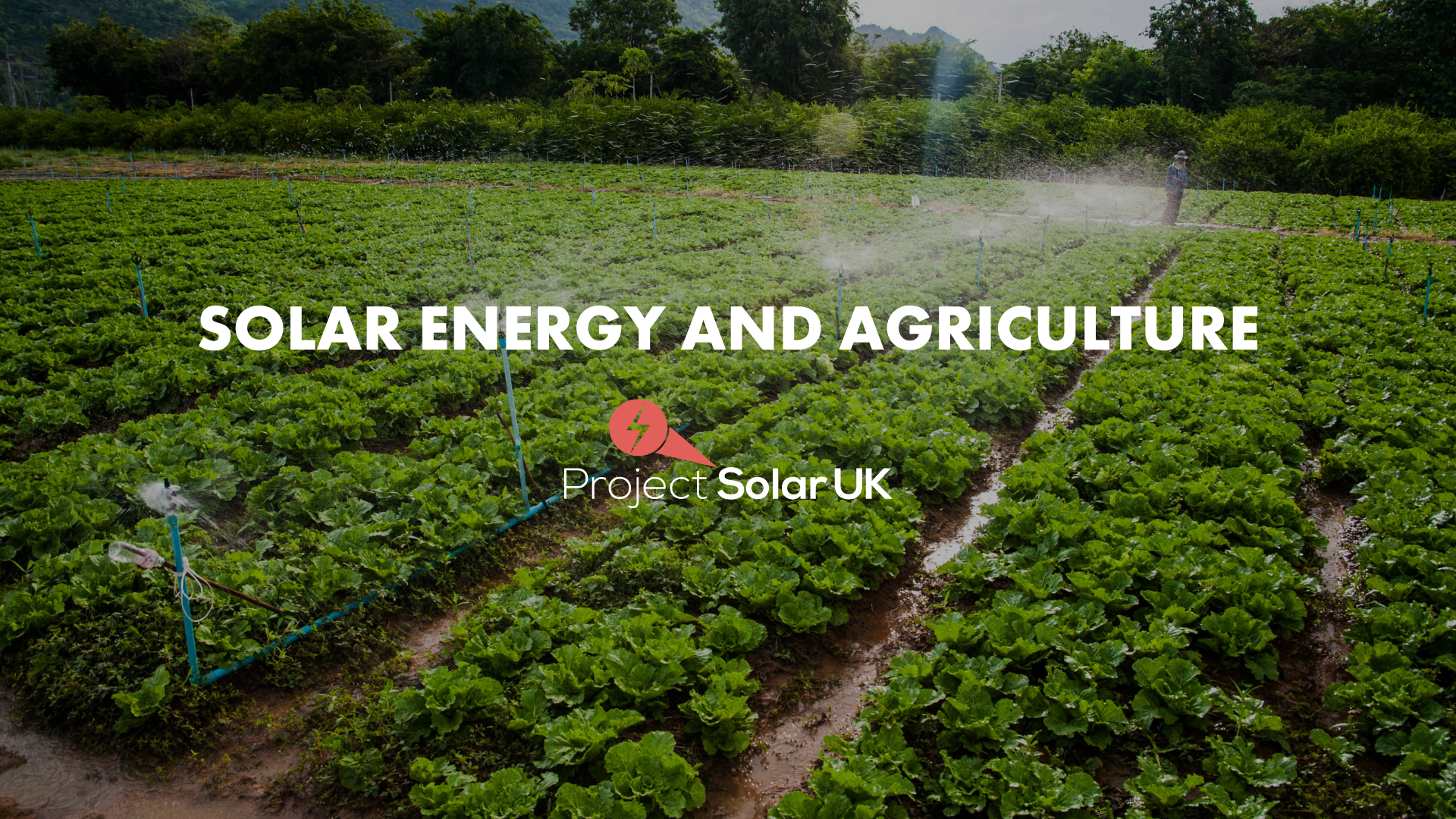 image of farm with text that reads 'solar energy and agriculture'