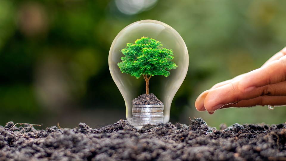 5 Easy Ways to Save Energy and Love the Planet