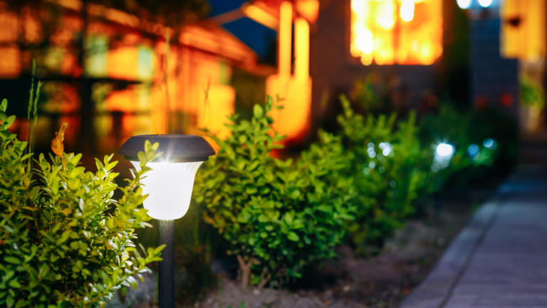 9 Everyday Solar Powered Gadgets to Own in 2025