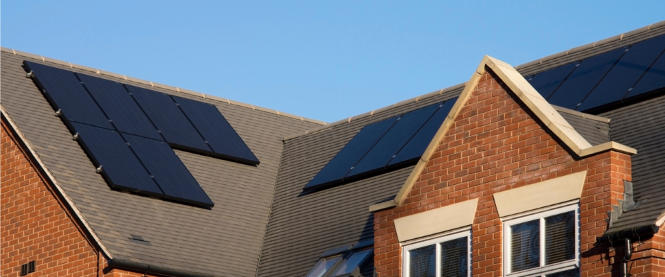 Blog Image Template (4)