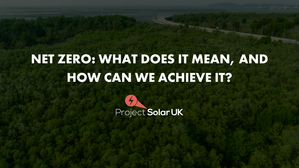 Net Zero What Does It Mean, and How Can We Achieve It