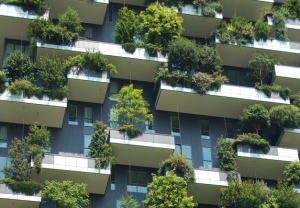 The Green Week Countdown