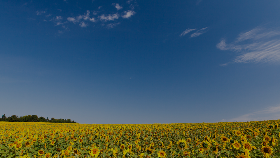 Summertime Wrapped 2024 The Solar Edition