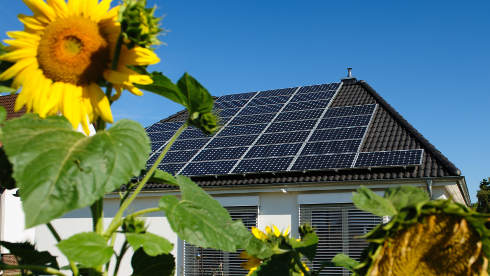 Untitled design 2 (2)