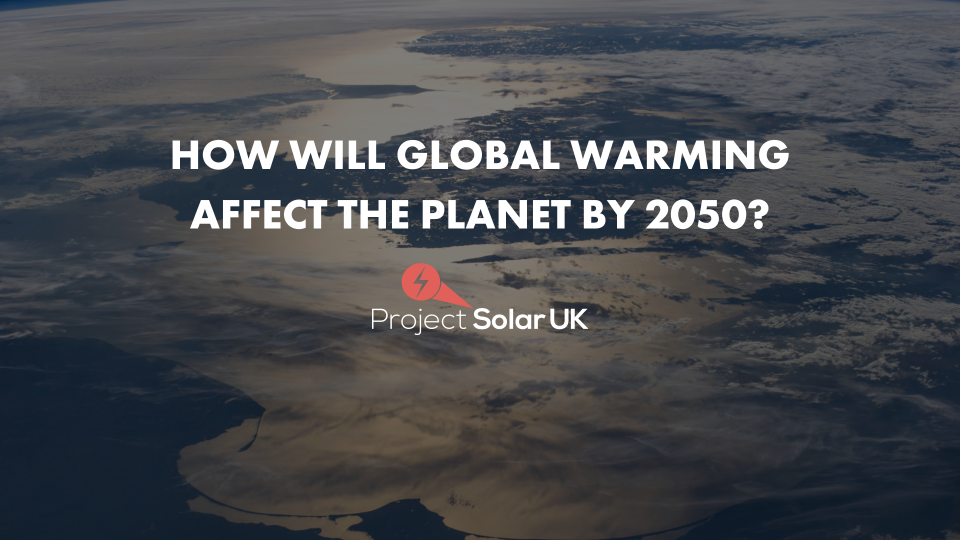 What impact will global warming have on the planet by 2050