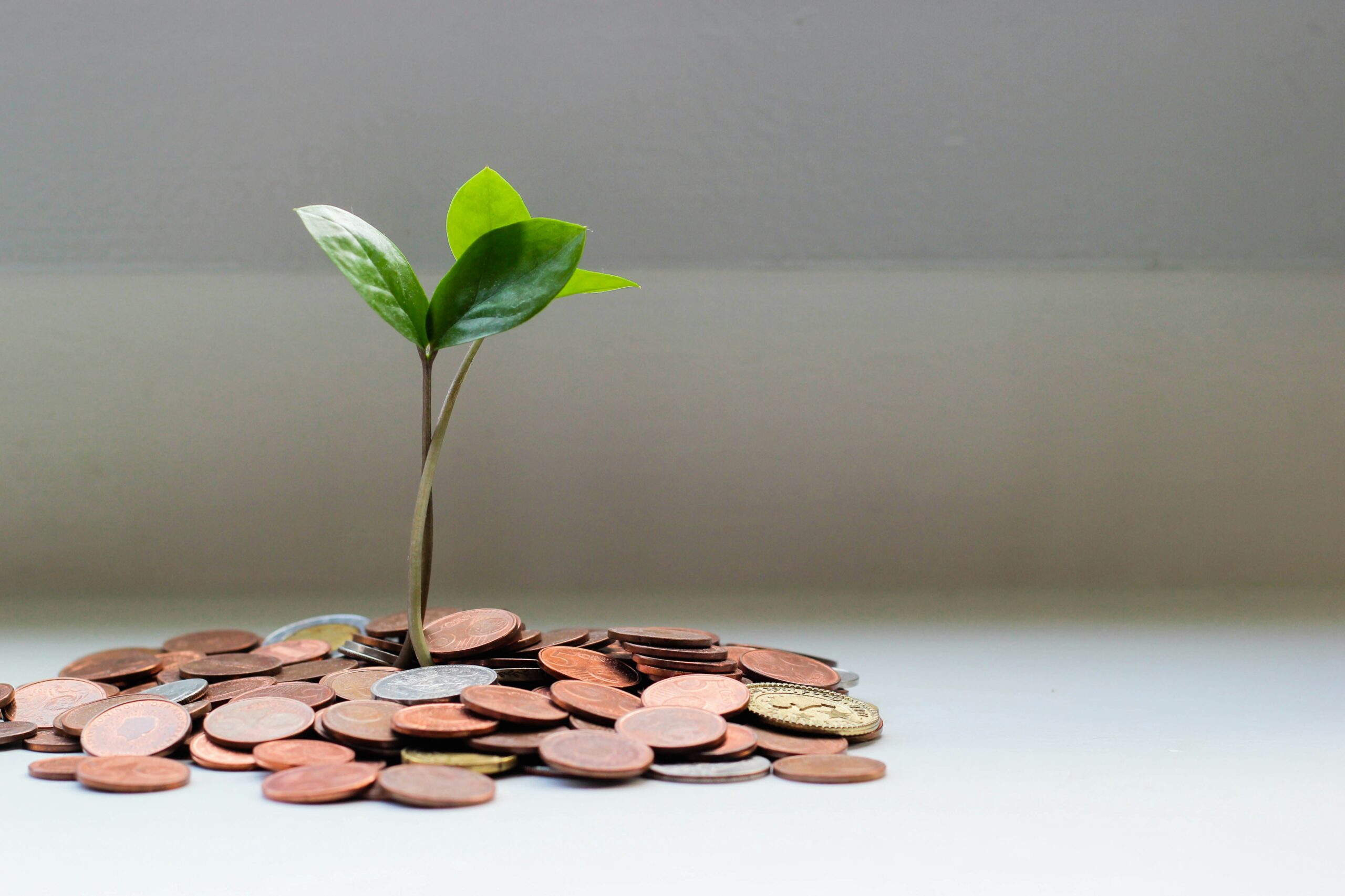 Unlock government grants for solar panels what uk homeowners need to