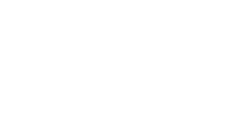the guardian2
