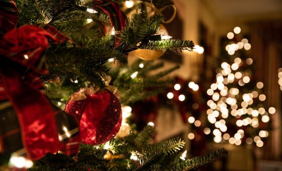 What Is The Carbon Cost Of Christmas?