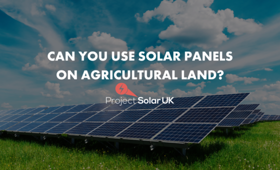 Can You Use Solar Panels on Agricultural Land?