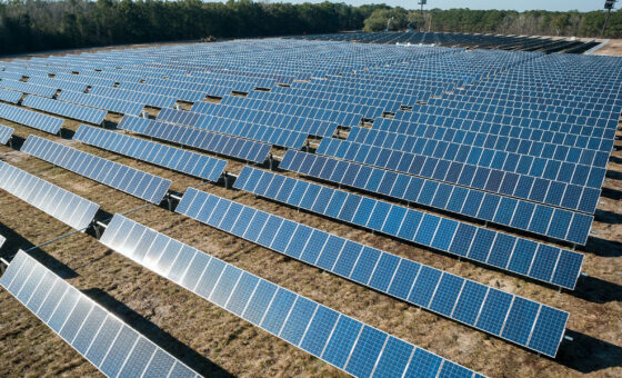 What is a Solar Farm and How Does It Work?
