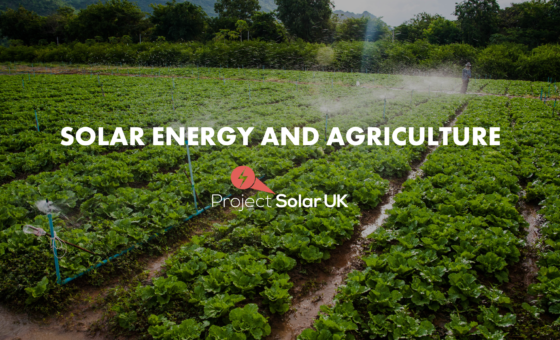 Solar Energy and Agriculture: The Rise of Agrivoltaics