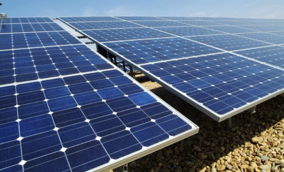 Solar Energy News Roundup: March 2019
