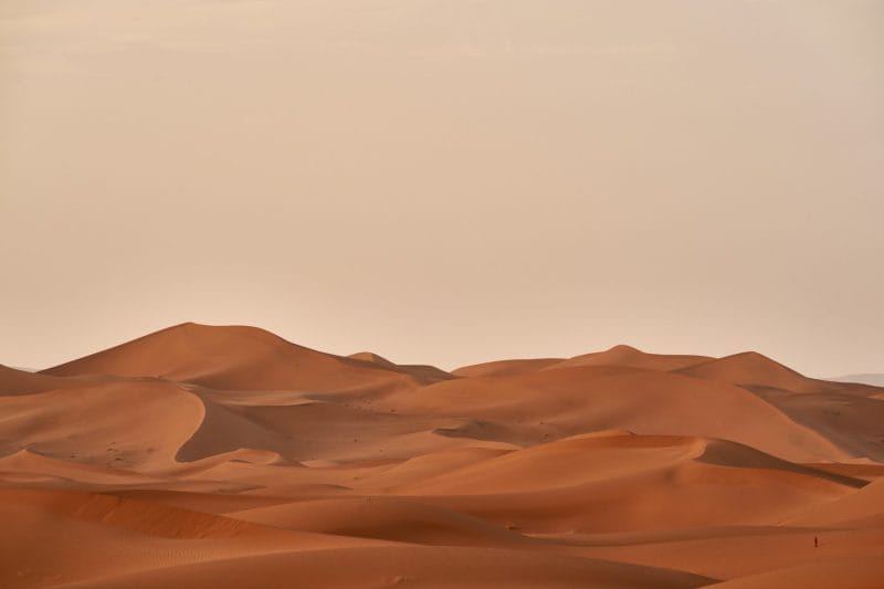 Featured Image